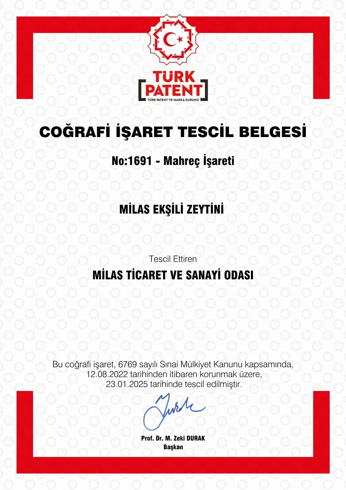 Milas Ekşili Zeytin