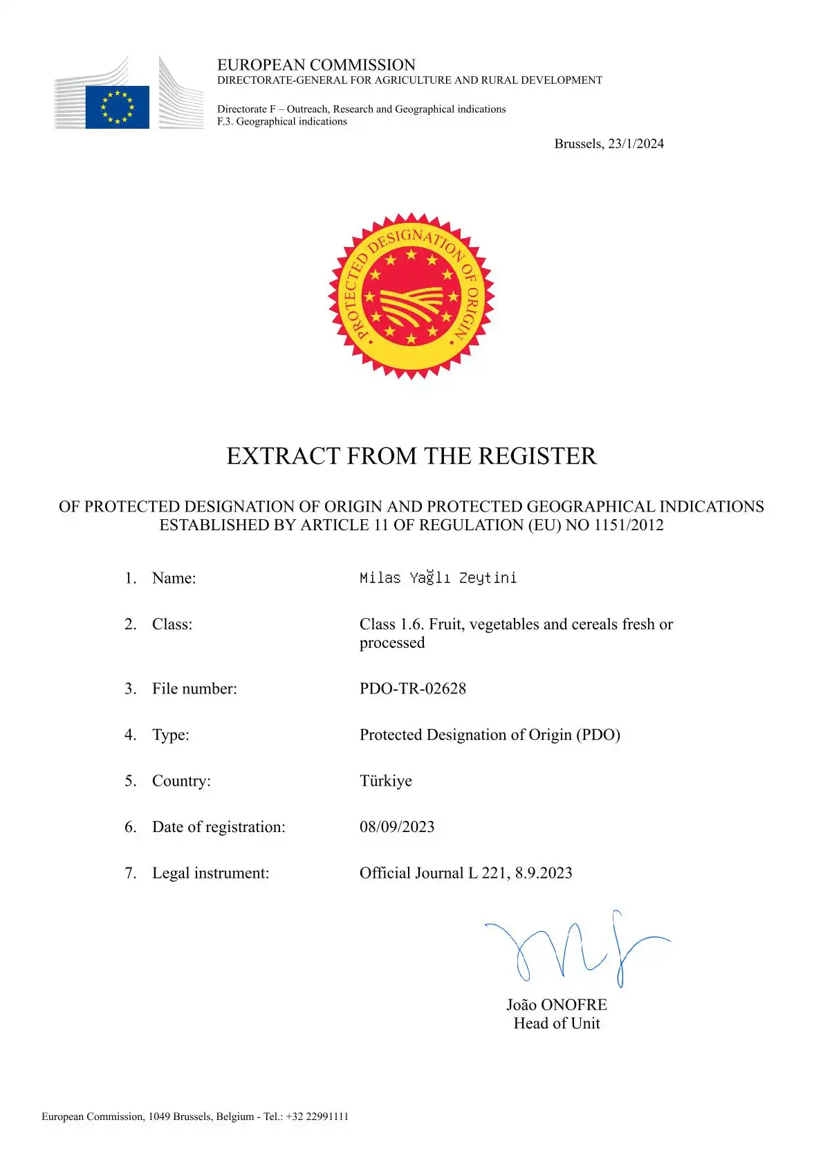 AB Milas Yağlı Zeytini