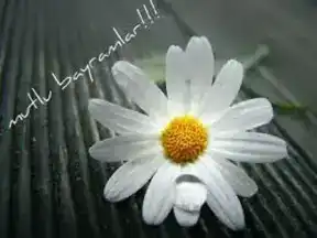 MİTSO KURBAN BAYRAMI TEBRİĞİ