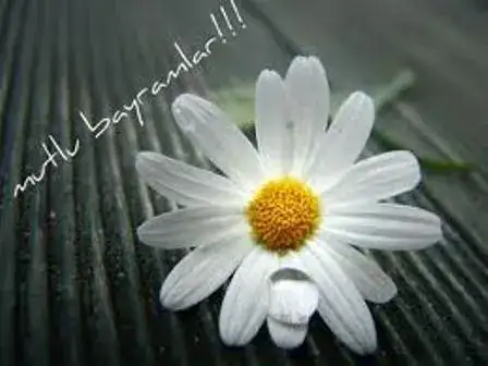 MİTSO KURBAN BAYRAMI TEBRİĞİ