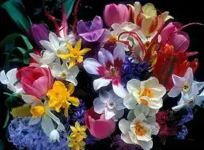 DÜNYA KADINLAR GÜNÜ KUTLU OLSUN...