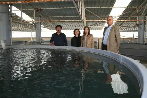 TOPRAK HAVUZ BALIKÇILARI YÜKSEK ELEKTRİK FİYATINDAN ŞİKAYETÇİ - 1