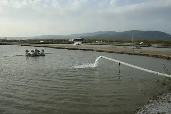 TOPRAK HAVUZ BALIKÇILARI YÜKSEK ELEKTRİK FİYATINDAN ŞİKAYETÇİ - 2