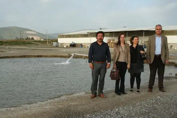 TOPRAK HAVUZ BALIKÇILARI YÜKSEK ELEKTRİK FİYATINDAN ŞİKAYETÇİ