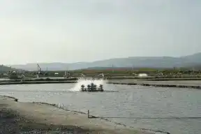 Milas’ın balıkları Avrupa’da  MART AYINDA İHRACATINI ENÇOK SU ÜRÜNLERİ VE HAYVANSAL MAMULLER SEKTÖRÜ ARTTIRDI