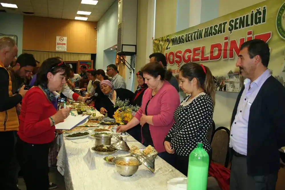 2. Milas Zeytin Hasat Şenliği başarıyla gerçekleştirildi. MİLAS ZEYTİN HASAT ŞENLİĞİYLE ŞENLENDİ - 7