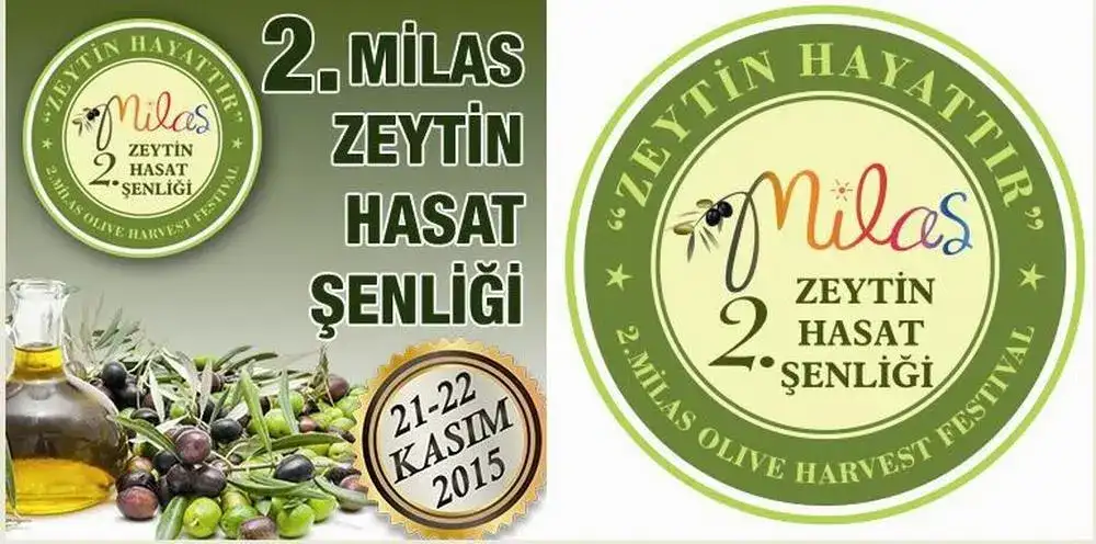 MİLAS'TA 2. ZEYTİN HASAT ŞENLİĞİ 21/22 KASIM'DA YAPILACAK - 2