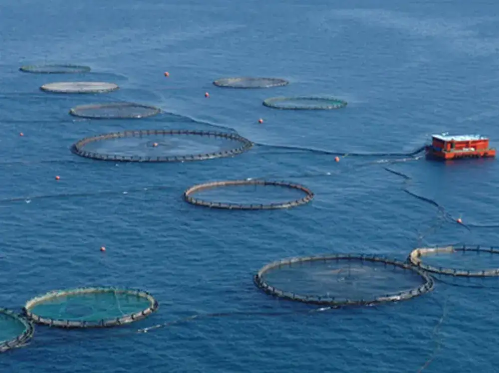 2- 4 HAZİRAN'DA İZMİR'DE SU ÜRÜNLERİ FUARI