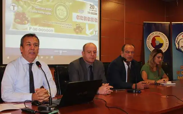 MİLAS 3. ZEYTİN HASAT ŞENLİĞİNE DOĞRU... - 2