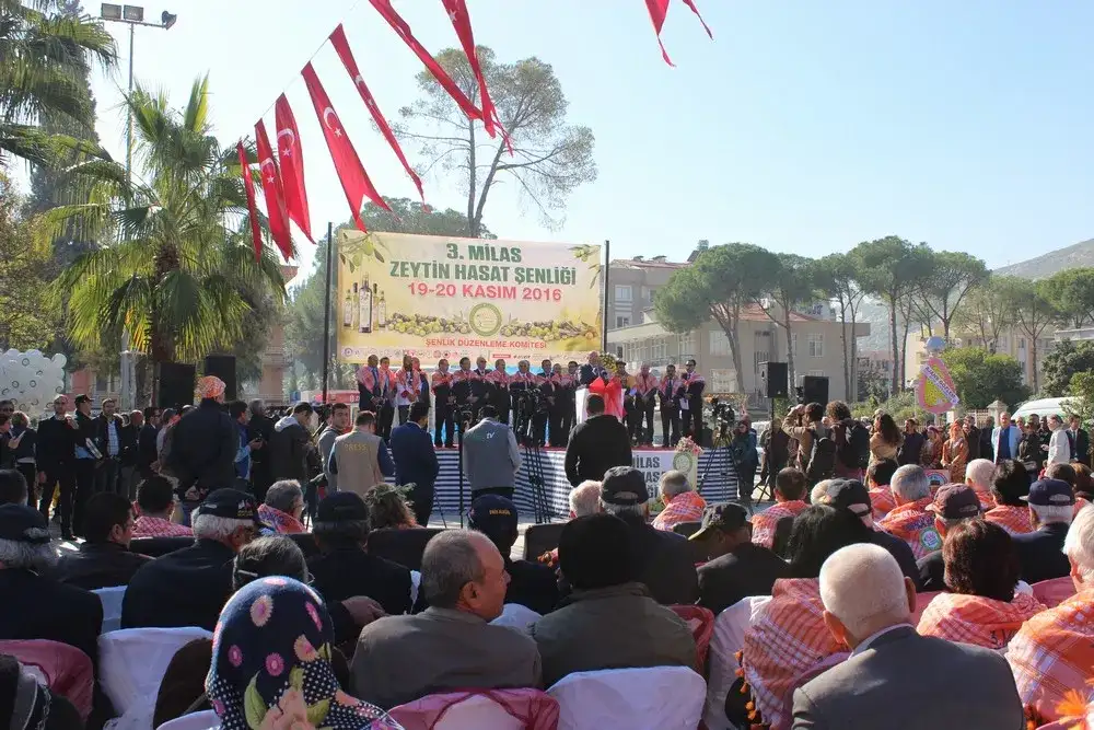 MİLAS, 3. ZEYTİN HASAT ŞENLİĞİ İLE ŞENLENDİ VE UMUTLANDI - 2