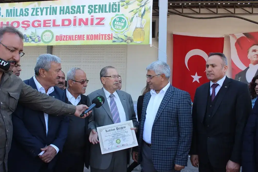 MİLAS, 3. ZEYTİN HASAT ŞENLİĞİ İLE ŞENLENDİ VE UMUTLANDI - 5