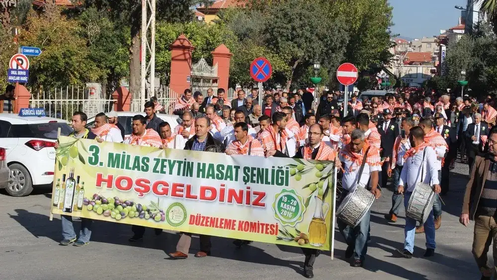 MİLAS, 3. ZEYTİN HASAT ŞENLİĞİ İLE ŞENLENDİ VE UMUTLANDI