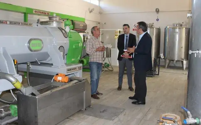 ZEYTİN SEVDASINA İSTANBUL'DAN MİLAS'A; - 1