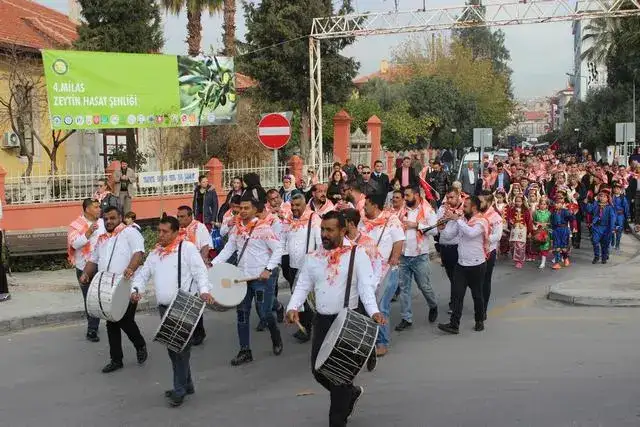 MİLAS 4. ZEYTİN HASAT ŞENLİĞİ CANAN KARATAY'IN DA KATILIMIYLA YAPILDI  CANAN KARATAY : ZEYTİNYAĞI ALTIN SUYUDUR. - 1