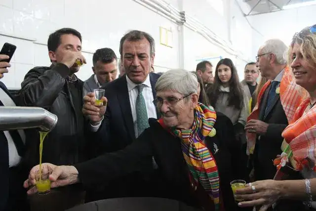 MİLAS 4. ZEYTİN HASAT ŞENLİĞİ CANAN KARATAY'IN DA KATILIMIYLA YAPILDI  CANAN KARATAY : ZEYTİNYAĞI ALTIN SUYUDUR.