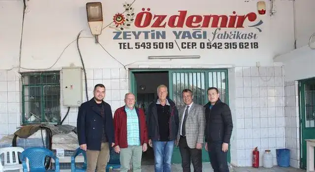 Milas zeytinyağı sezonuna umutlu giriyor:  ZEYTİNDE ERKEN HASAT SÖYLEMİ TUTTU