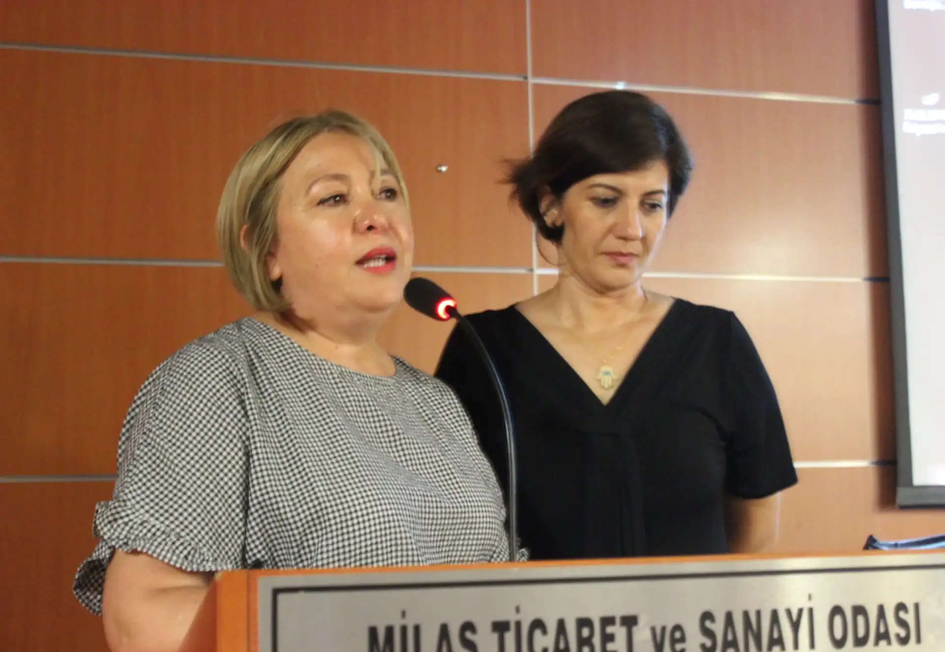 MİLAS HALILARININ MÜZEYE YOLCULUĞU MİTSO'DA ANLATILDI - 1