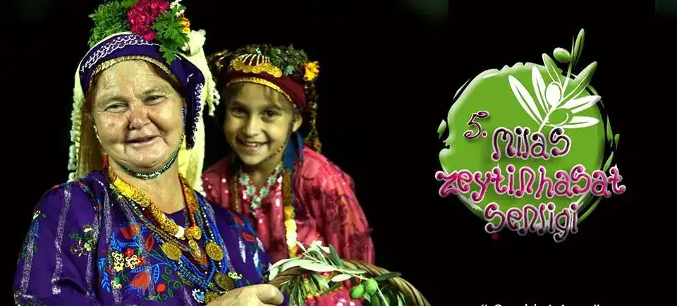 MİLAS ZEYTİN HASAT ŞENLİĞİ 24 KASIM'DA KÖY TV'DE...