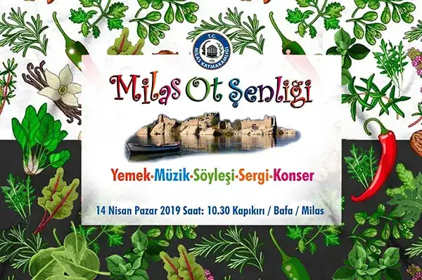 MİLAS OT ŞENLİĞİ 14 NİSAN'DA KAPIKIRI'NDA YAPILACAK