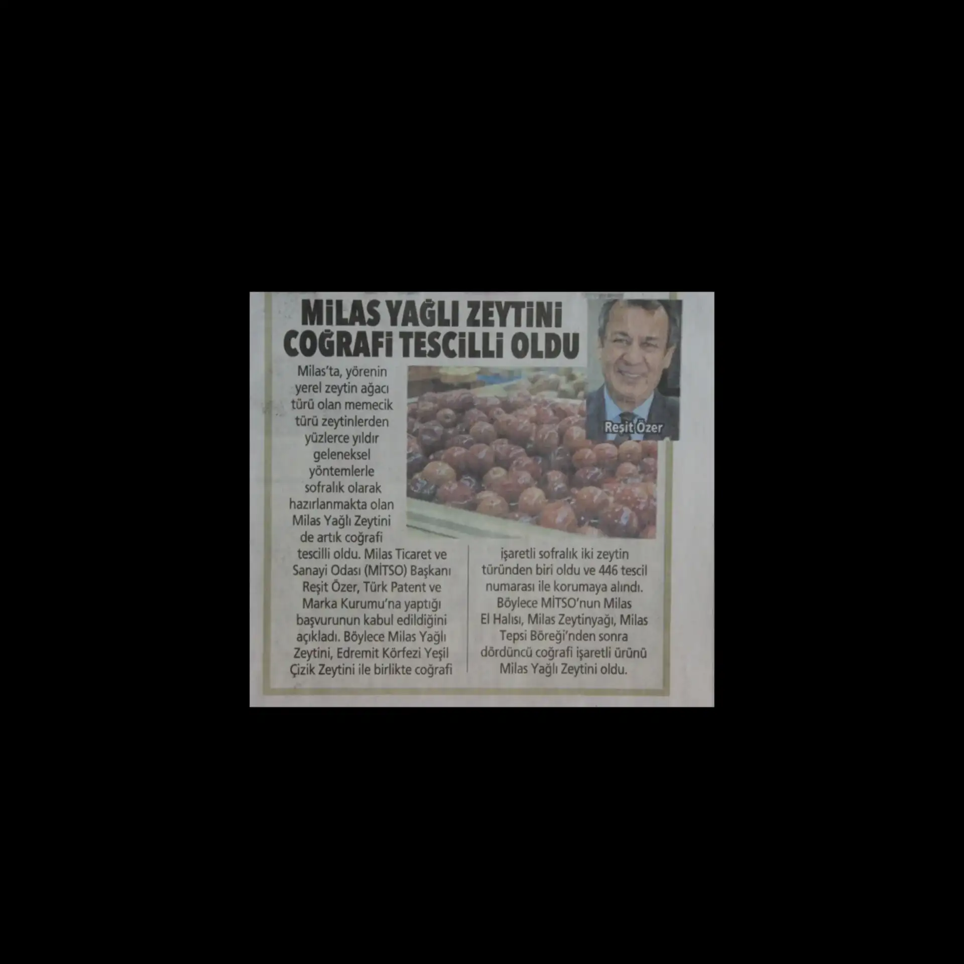 Milas Yağlı Zeytini Posta Gazetesi'nin İzmir ekinde