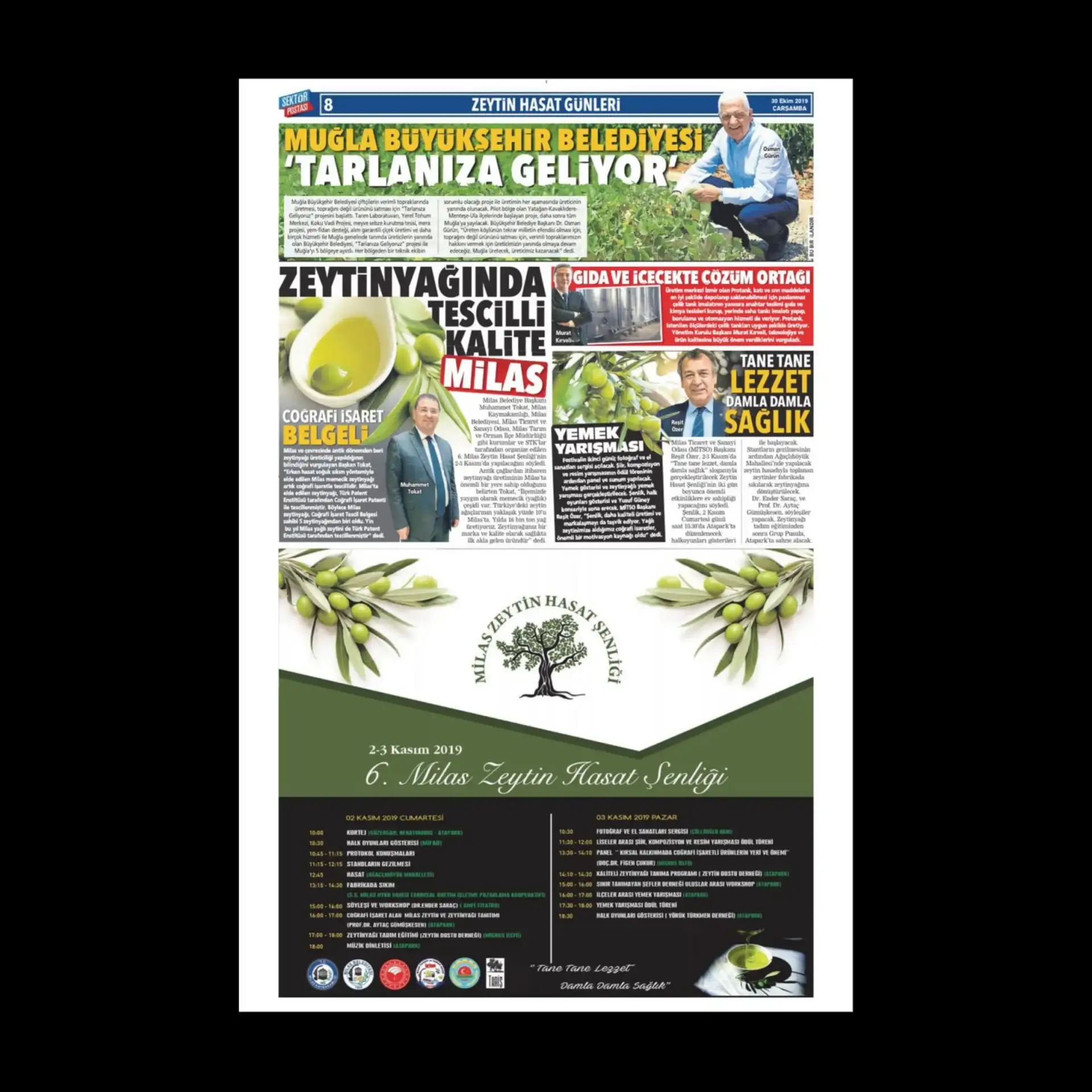 6. ZEYTİN HASAT ŞENLİĞİ VE MİTSO, POSTA GAZETESİNDE...