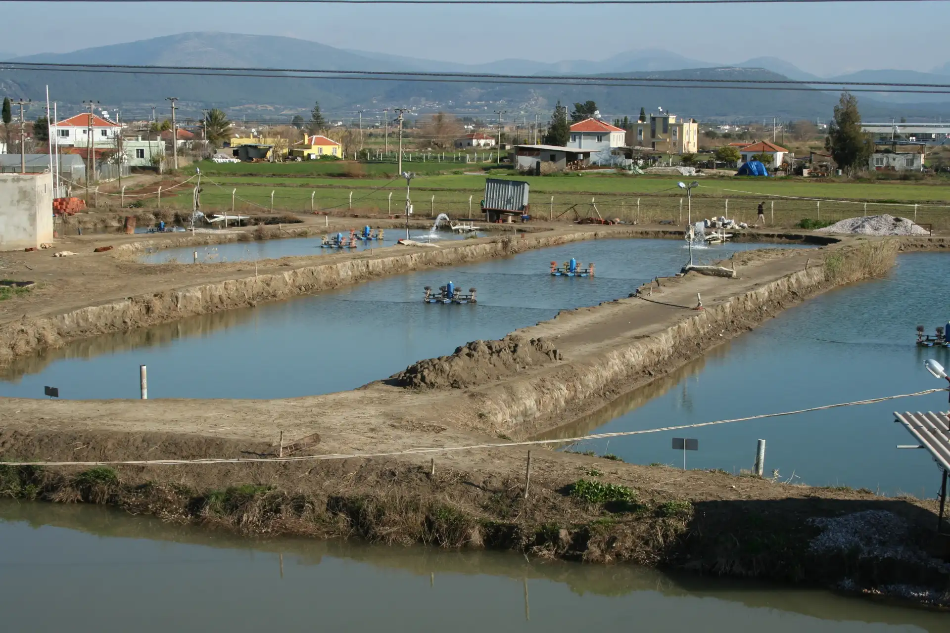 Tarım ve Orman Muğla İl Müdürü Saylak ile toprak havuz balık üreticileri MİTSO'da buluştu:  BALIKTA KDV YÜZDE 8'DEN YÜZDE 1'E İNDİRİLSİN