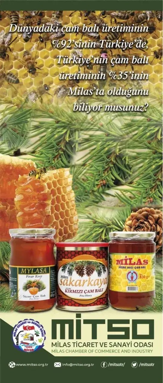 MİTSO'DA SALI GÜNÜ ARI VE BAL ÇALIŞTAYI YAPILACAK - 1