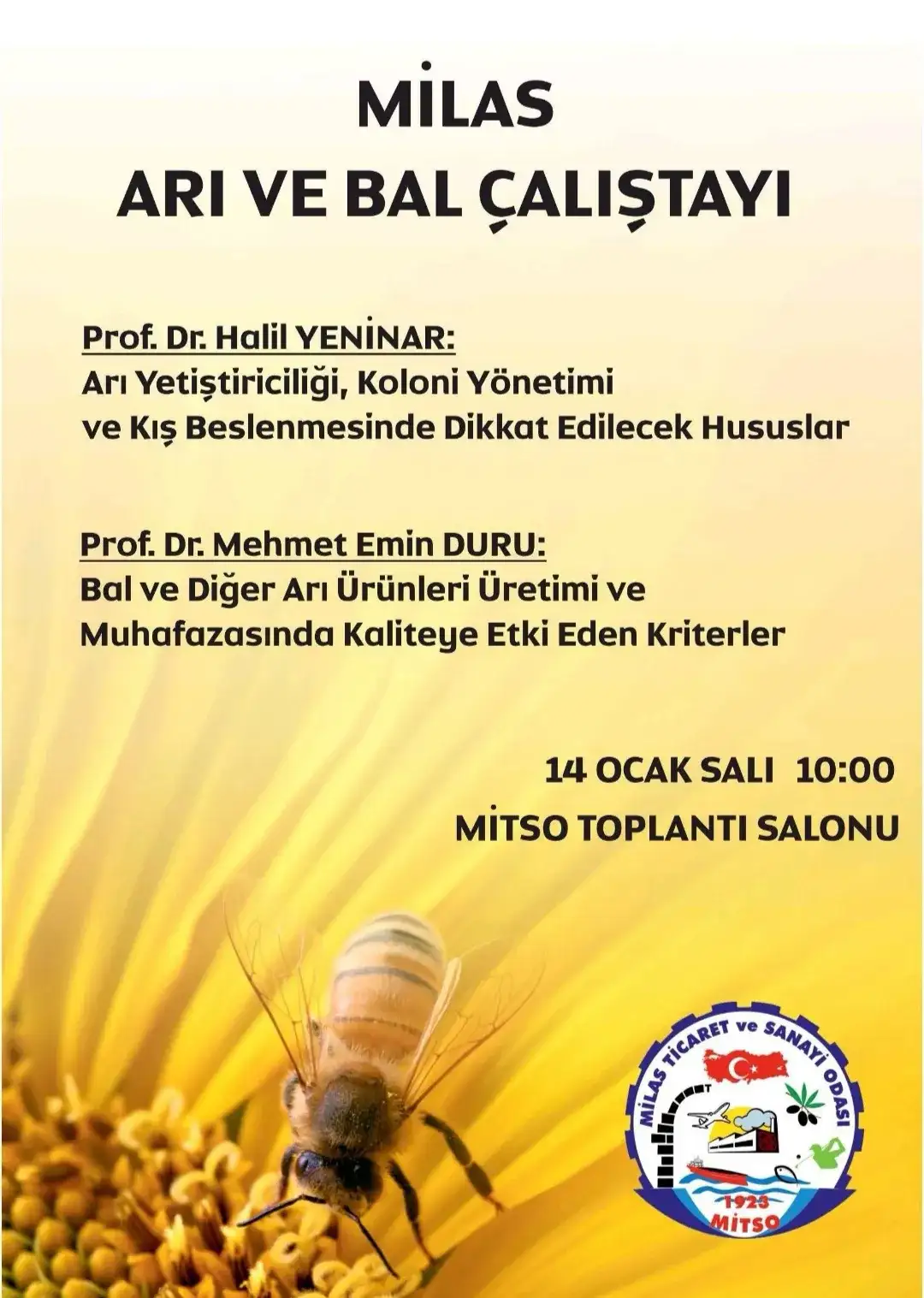 MİTSO'DA SALI GÜNÜ ARI VE BAL ÇALIŞTAYI YAPILACAK - 2