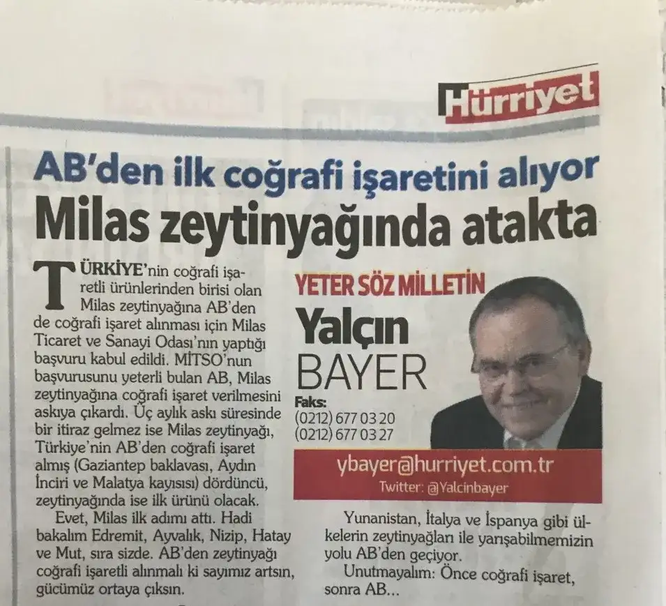 Hürriyet'te Yalçın Bayer yazdı: MİLAS, ZEYTİNYAĞINDA ATAKTA...
