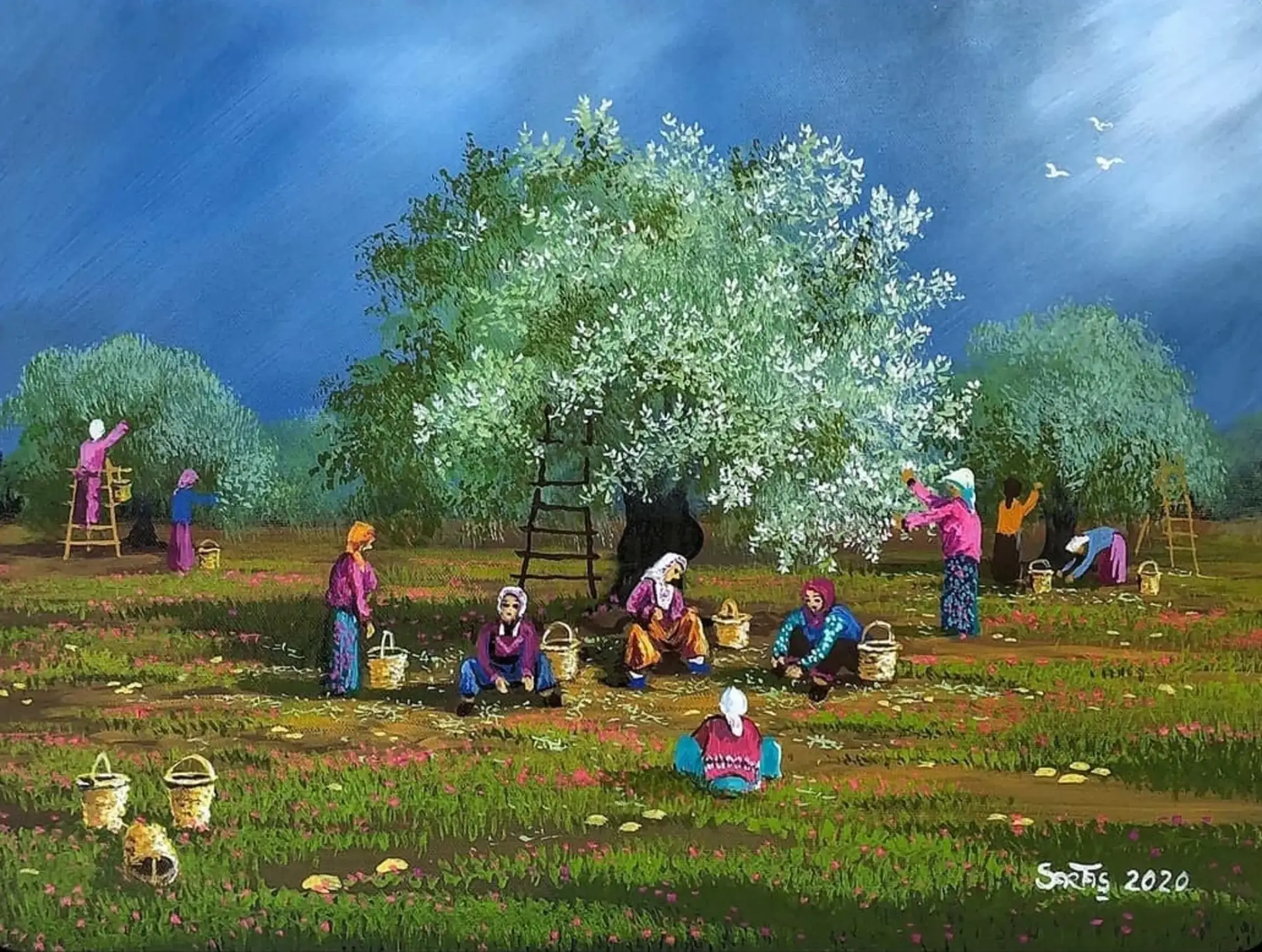 ZEYTİN SAĞLIKTIR, ŞİFADIR, BEREKETTİR, BARIŞTIR... 26 KASIM DÜNYA ZEYTİN GÜNÜ KUTLU OLSUN... - 2