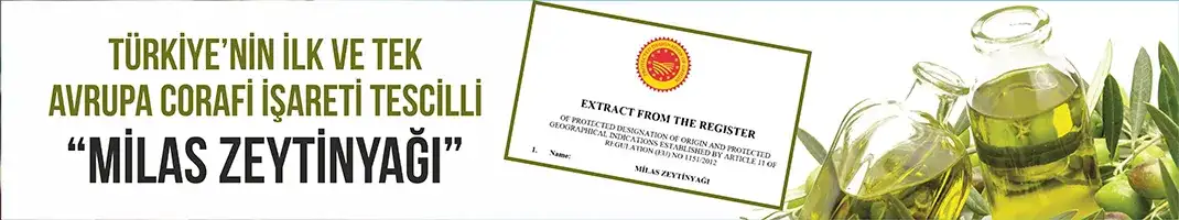 AB Milas Zeytinyağı - 1