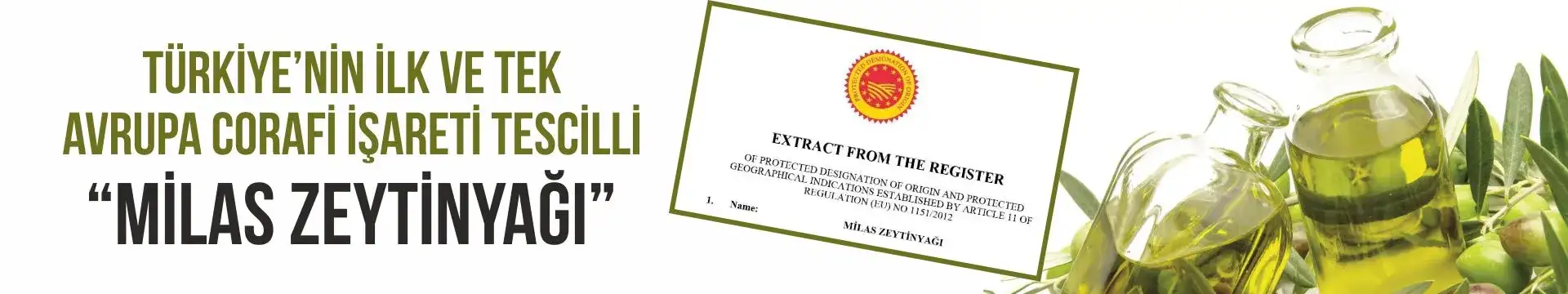 AB Milas Zeytinyağı