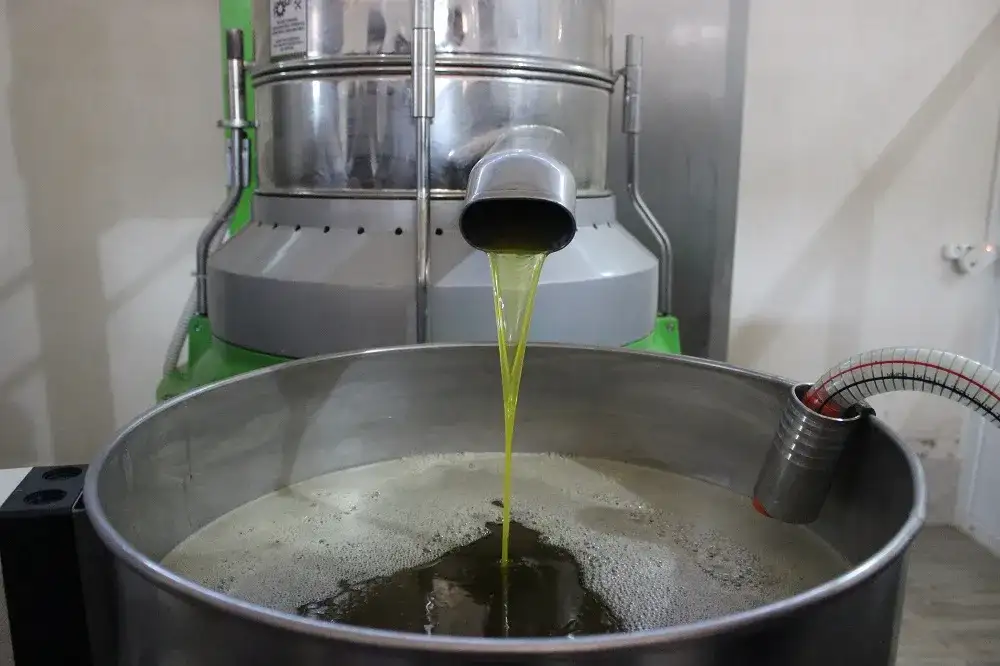 Türk Gıda Kodeksi 2020 /21 dönemi zeytinyağı ve prina yağı tebliğinde değişiklik yapıldı: RAFİNE VE RİVİERA ZEYTİNYAĞLARI İÇİN D-7-S DEĞERİ EN ÇOK BİNDE 8 OLACAK!