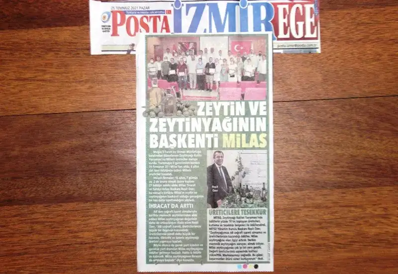 POSTA YAZDI: "ZEYTİN VE ZEYTİNYAĞININ BAŞKENTİ MİLAS"