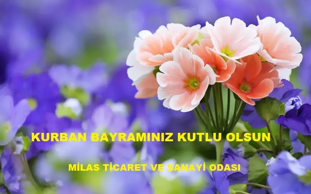 KURBAN BAYRAMINIZ KUTLU OLSUN