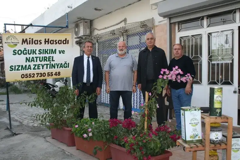 Zeytinyağı üreticilerine bolluk ve bereket dilediler: MİTSO YÖNETİMİ BAFA'DA MİLAS HASADI'NDA