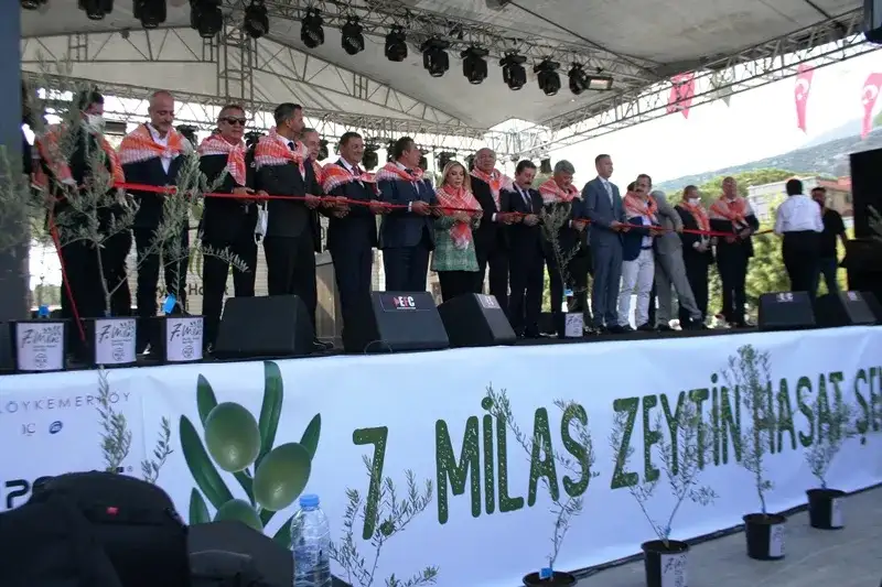 MİLAS, 7. ZEYTİN HASAT ŞENLİĞİ İLE ŞENLENDİ