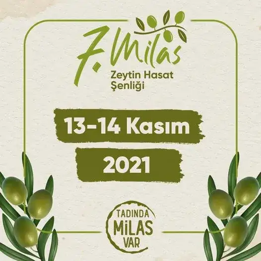 Milas 7. Zeytin Hasat Şenliği 13 / 14 Kasım'da BU ZEYTİNYAĞININ TADINDA MİLAS VAR! - 2