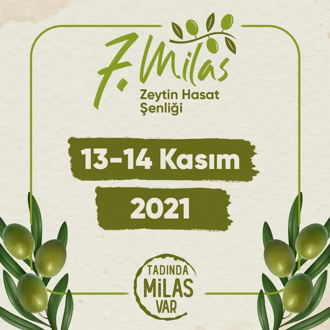 13-14 KASIM 2021 TARİHİNDE 7. MİLAS ZEYTİN HASAT ŞENLİĞİNE TÜM HALKIMIZ DAVETLİDİR