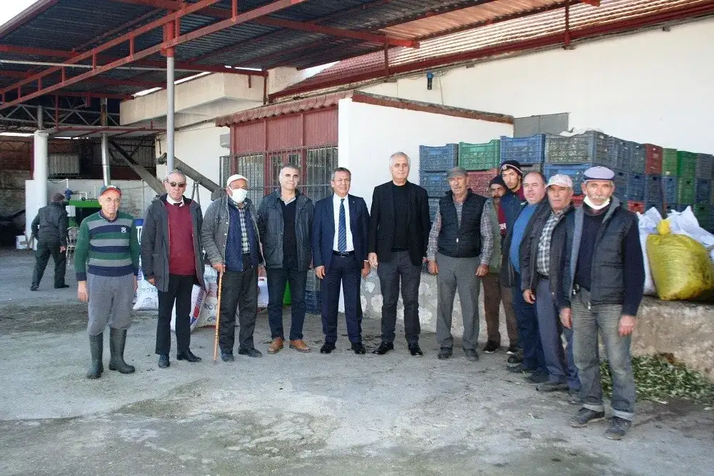 MİTSO'dan zeytin üreticilerine ve zeytinyağı fabrikalarına:"ZEYTİNİ DELİKLİ PLASTİK KASALARDA TUTUN, BEKLETMEDEN SIKIN" - 1