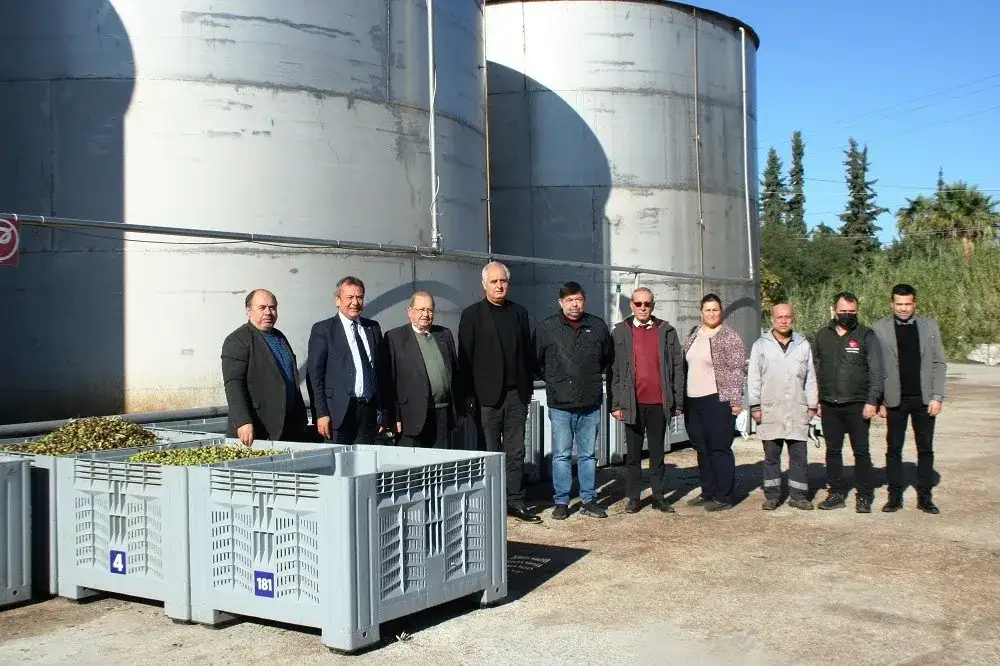 MİTSO'dan zeytin üreticilerine ve zeytinyağı fabrikalarına:"ZEYTİNİ DELİKLİ PLASTİK KASALARDA TUTUN, BEKLETMEDEN SIKIN"