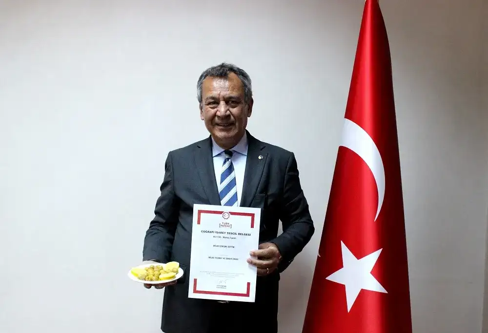 MİTSO yine başardı... MİLAS ÇEKİŞKE ZEYTİNİNİN DE COĞRAFİ İŞARETİ ALINDI - 1