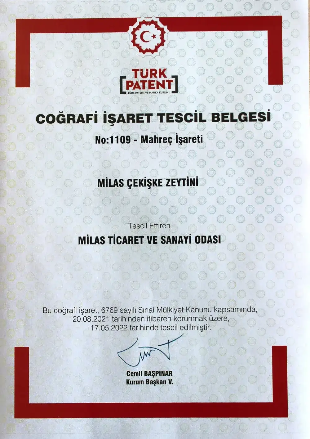 MİTSO yine başardı... MİLAS ÇEKİŞKE ZEYTİNİNİN DE COĞRAFİ İŞARETİ ALINDI - 2