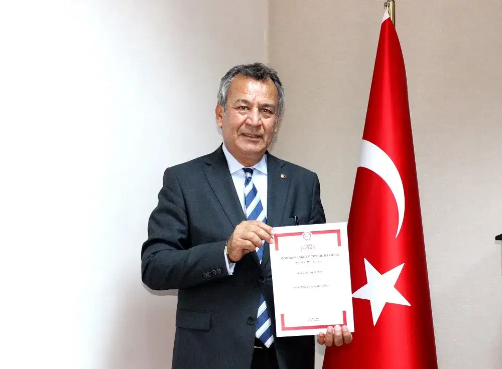 MİTSO yine başardı... MİLAS ÇEKİŞKE ZEYTİNİNİN DE COĞRAFİ İŞARETİ ALINDI