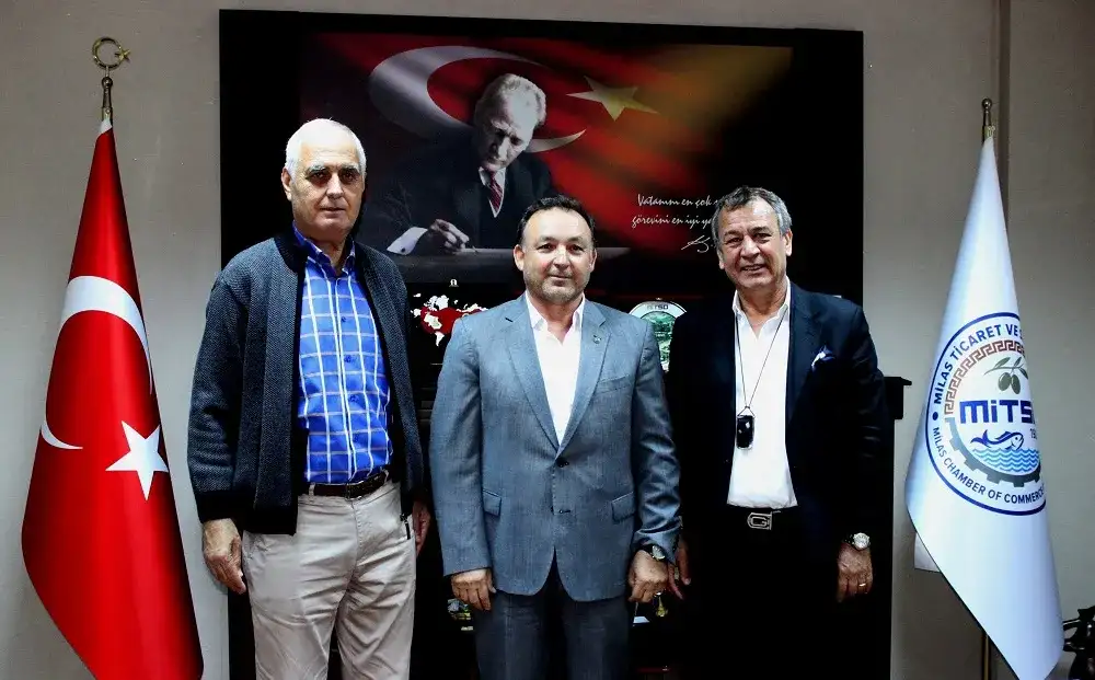 MİTSO ve Süt Birliği'nden çağrı: ZEYTİN HASAT ŞENLİĞİNE DESTEK OLALIM!