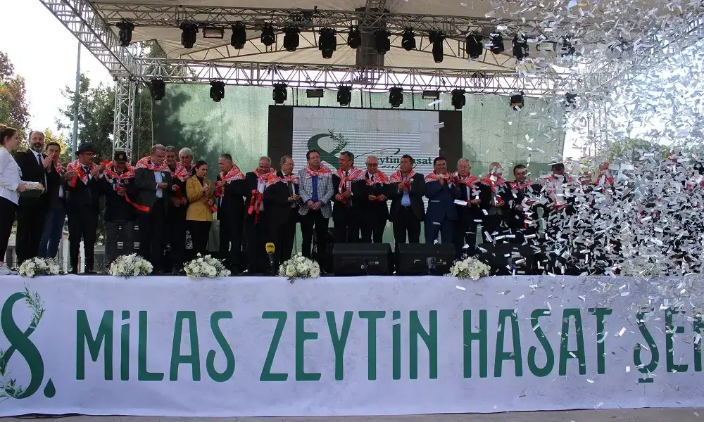 MİLAS, ZEYTİN HASAT ŞENLİĞİ İLE COŞTU