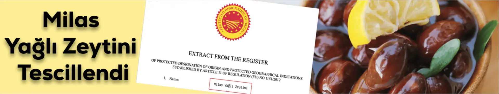 Milas Yağlı Zeytini Artık AB Coğrafi İşaretli