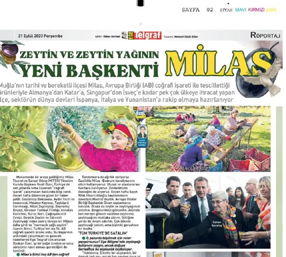Ege Telgraf Gazetesi: MİLAS ZEYTİN VE ZEYTİNYAĞININ YENİ BAŞKENTİ: MİLAS"