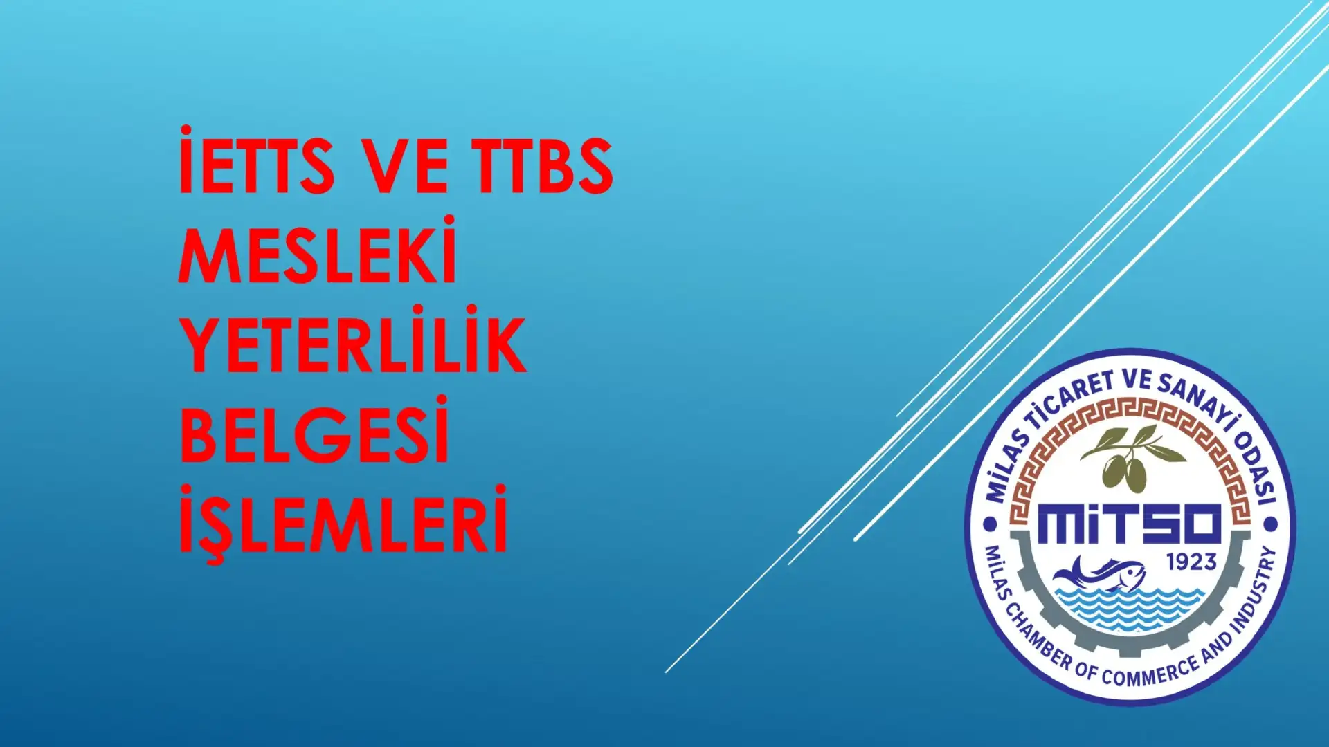 İETTS ve TTBS Mesleki Yeterlilik Belgesi İşlemleri