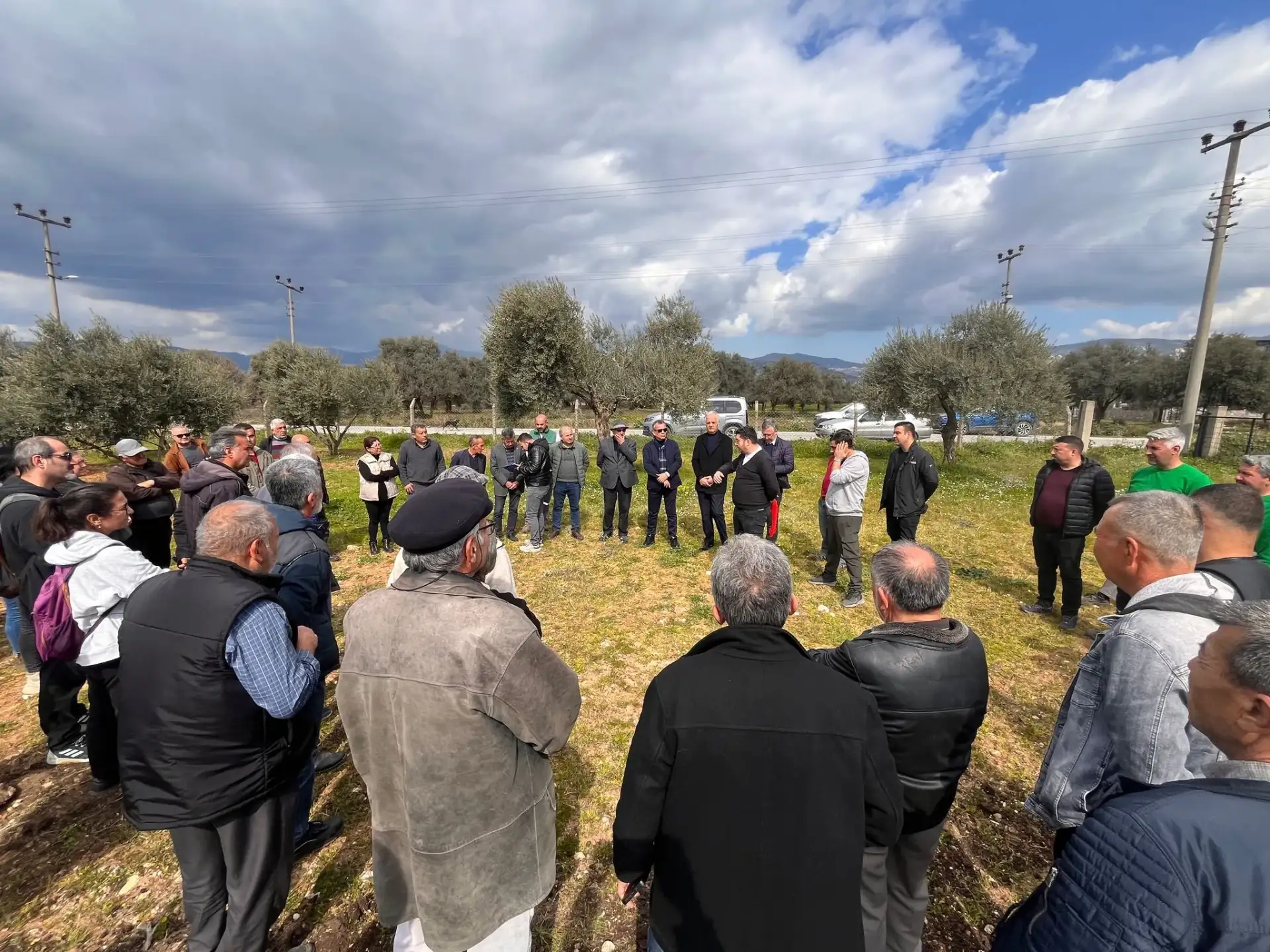 OLIVE PRUNING TRAINING WAS HELD… - 1